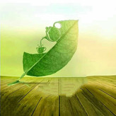 چای سبزیک کیلویی ایرانی لاهی چای